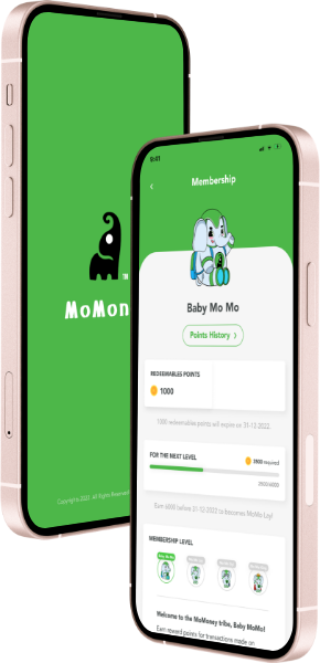 MoMoney App Interface