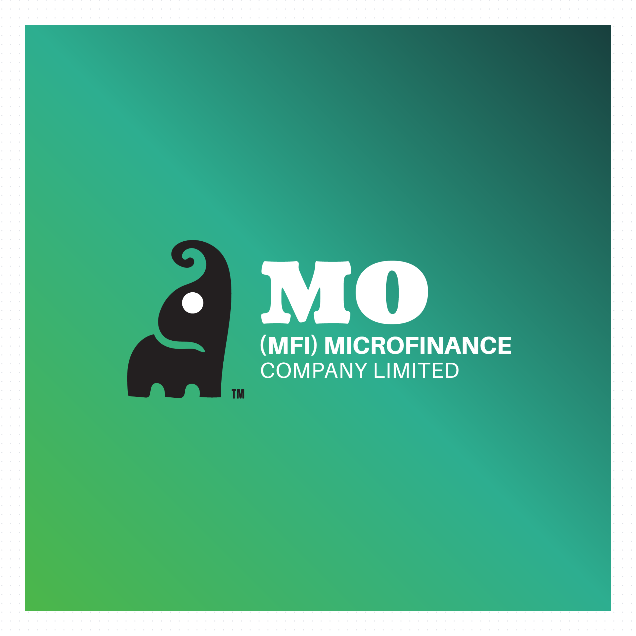 MO Finance Advisor – Modus Operandi